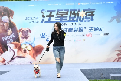 汪星卧底剧照的剧照