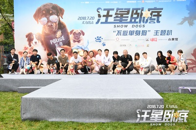 汪星卧底剧照的剧照