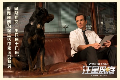 汪星卧底剧照的剧照