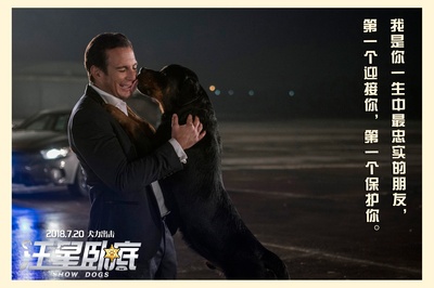 汪星卧底剧照的剧照