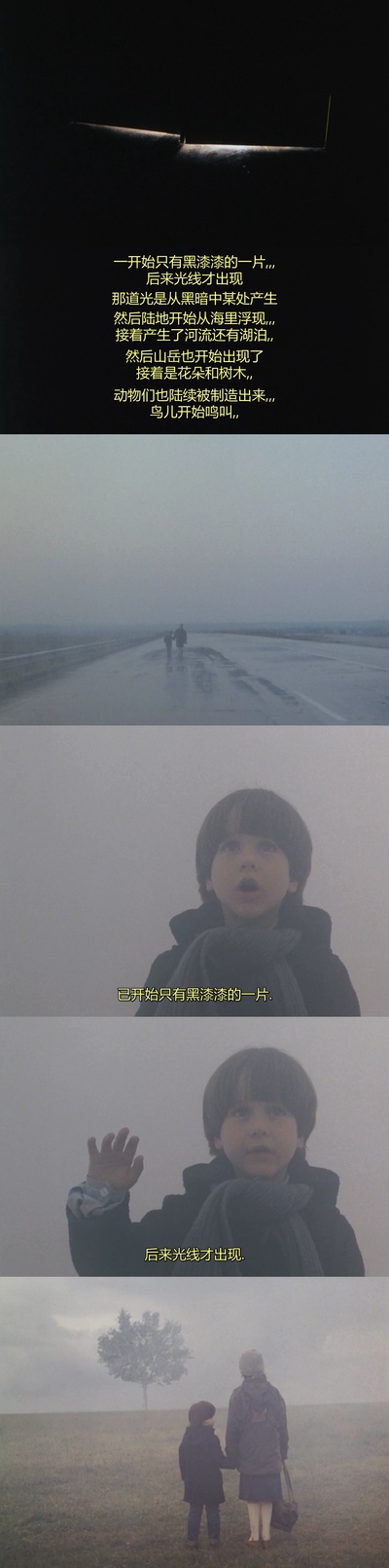 雾中风景剧照的剧照