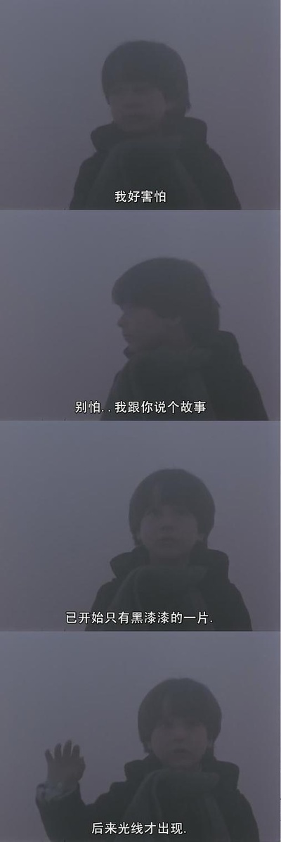 雾中风景剧照的剧照