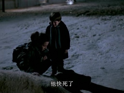 雾中风景剧照的剧照