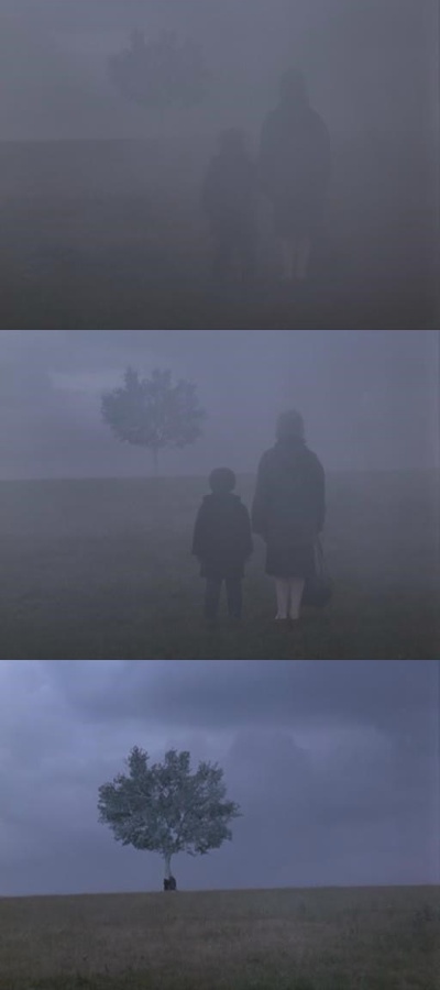 雾中风景剧照的剧照