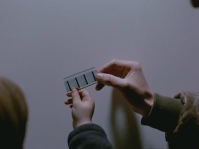 雾中风景剧照的剧照