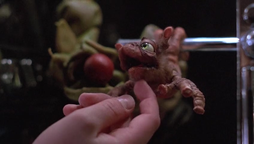 领航员剧照的剧照