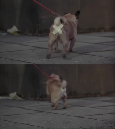 妙想天开剧照的剧照