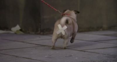 妙想天开剧照的剧照