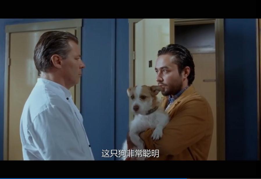 希望的另一面剧照的剧照