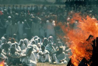 甘地传剧照的剧照