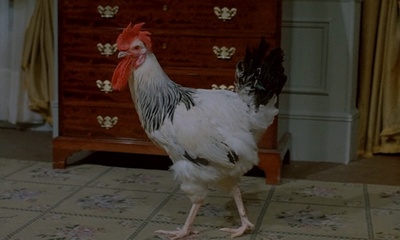 自由的幻影剧照的剧照