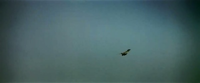 复仇剧照的剧照