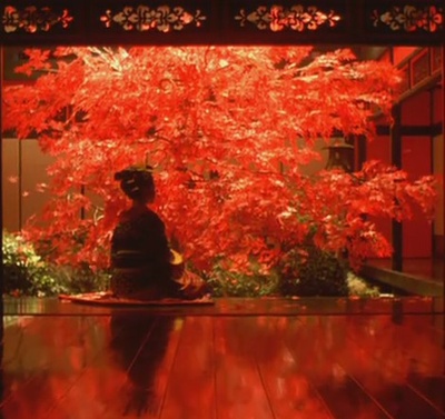 花魁剧照的剧照