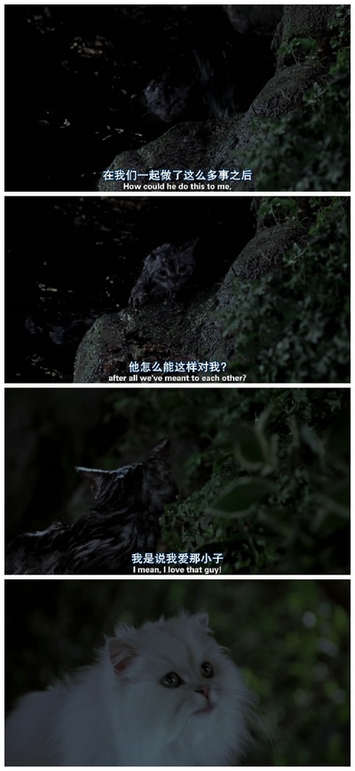 精灵鼠小弟剧照的剧照