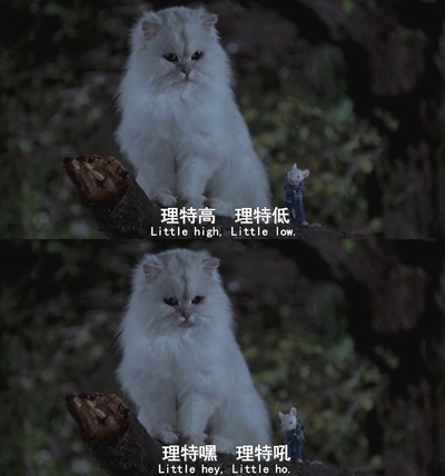 精灵鼠小弟剧照的剧照