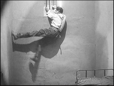 玩家马布斯博士剧照的剧照