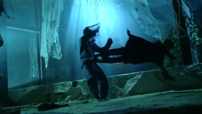 黑侠剧照的剧照