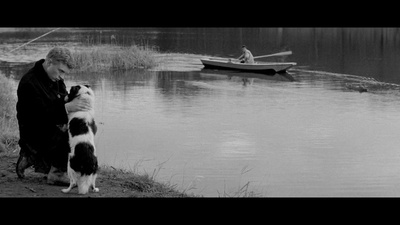 花落莺啼春剧照的剧照