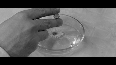 花落莺啼春剧照的剧照