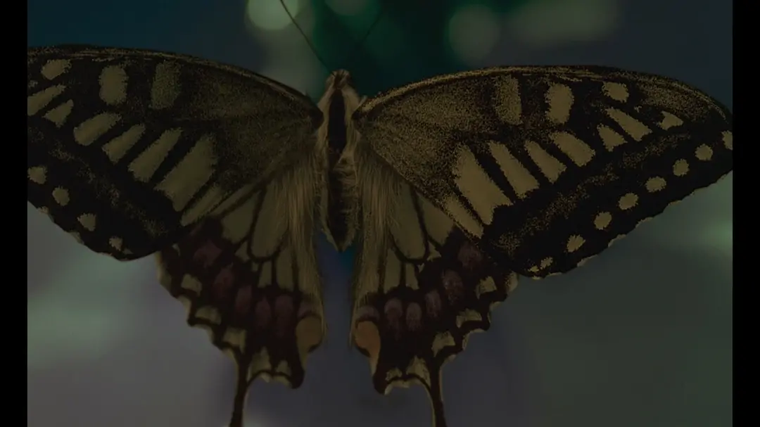 燕尾蝶剧照的剧照