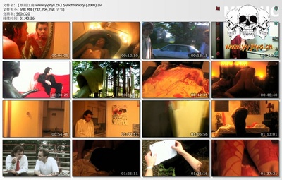 Synchronicity剧照的剧照