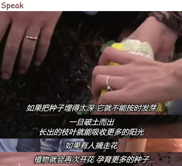 不再沉默剧照的剧照