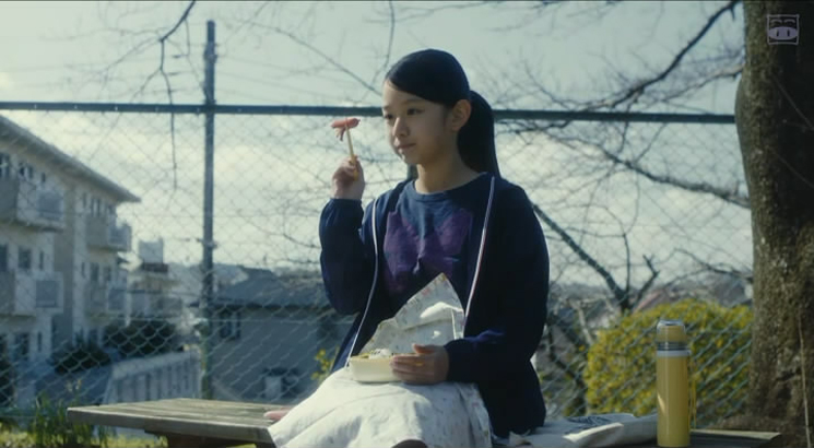 人生密密缝剧照的剧照