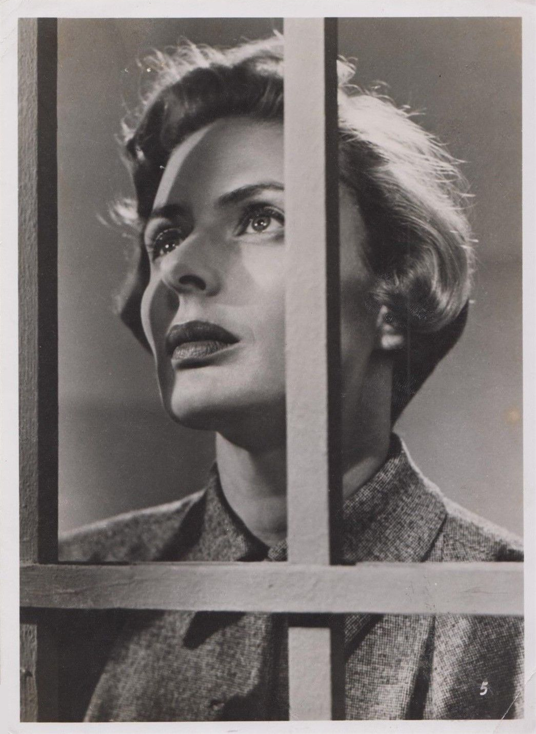 一九五一年的欧洲剧照的剧照