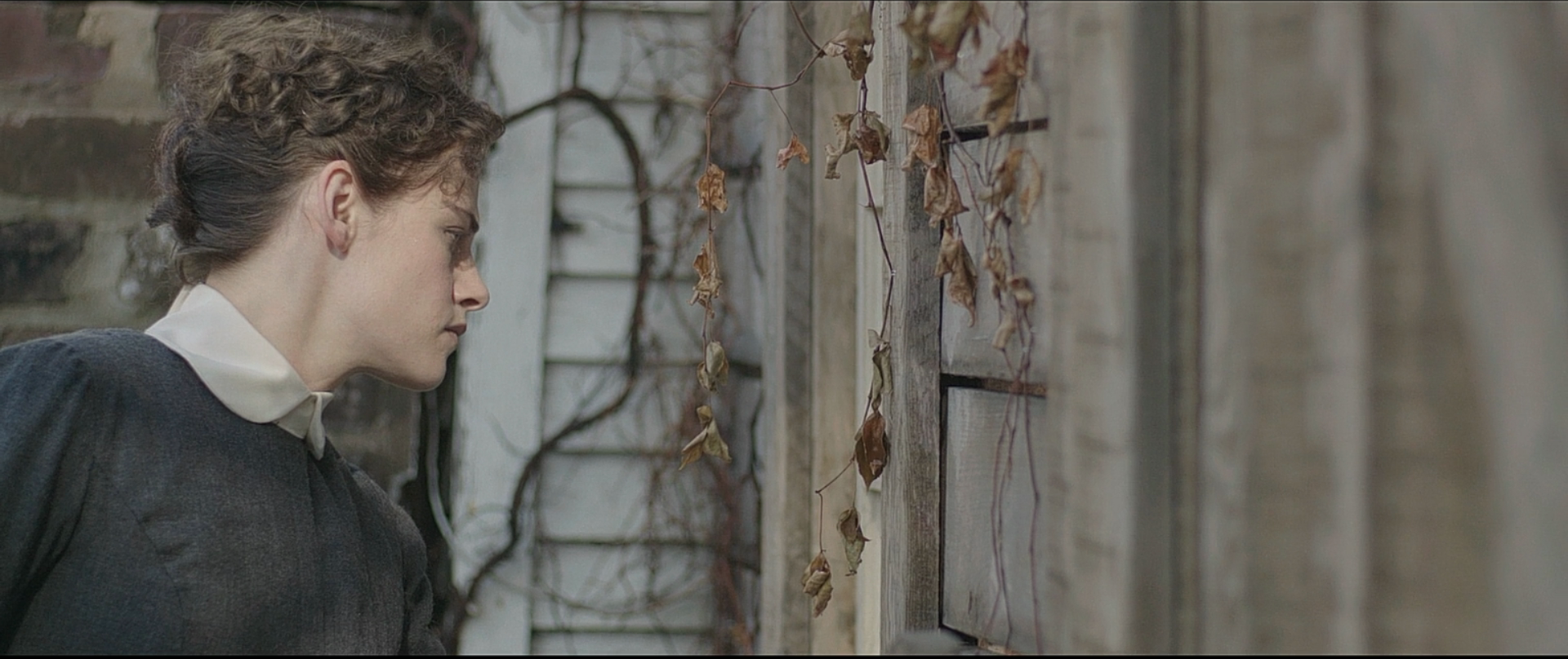 丽兹剧照的剧照