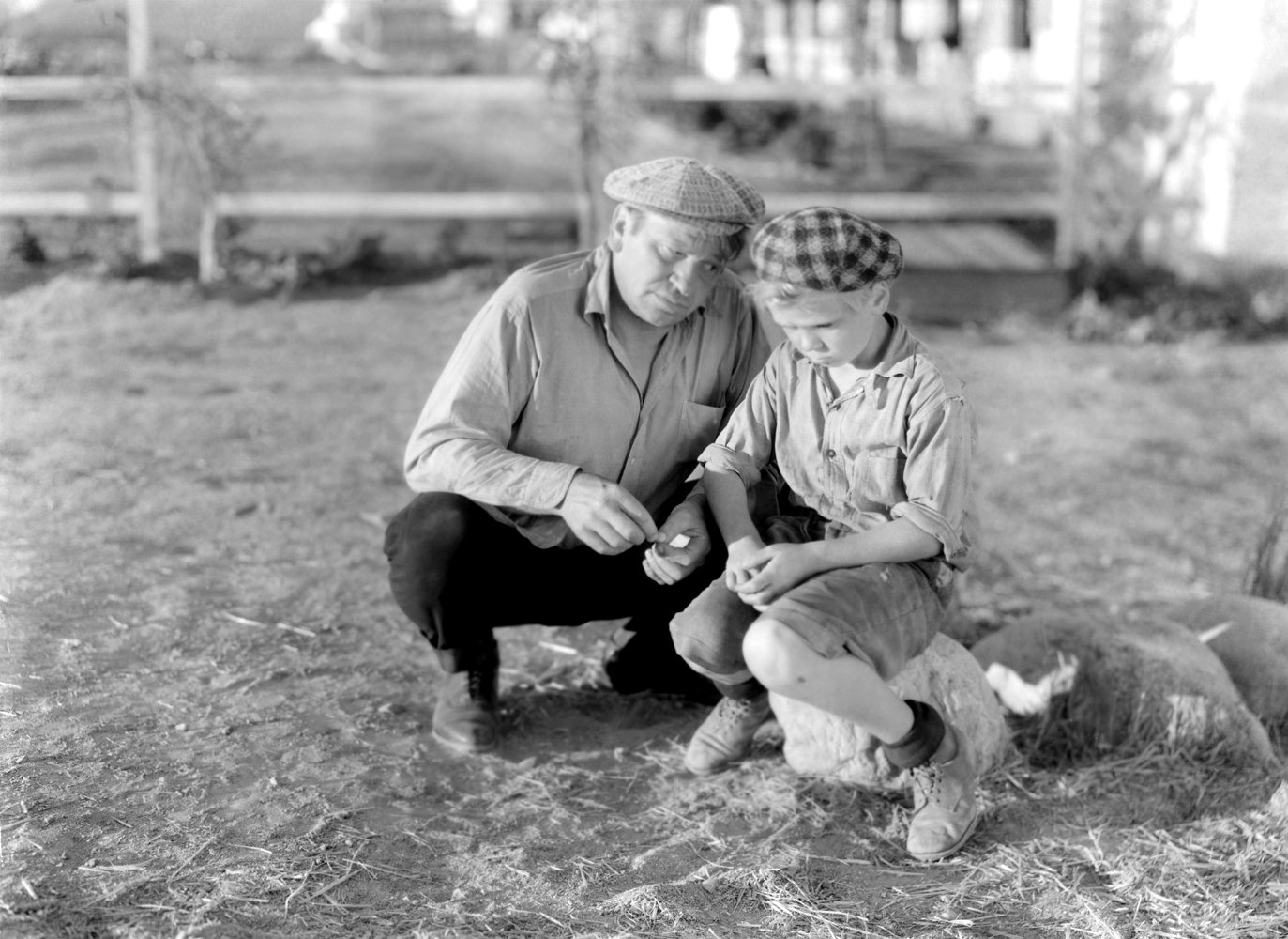 舐犊情深剧照的剧照