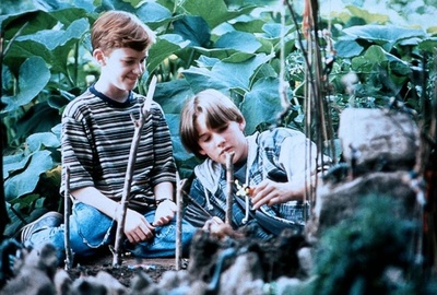 鳄鱼波鞋走天涯剧照的剧照