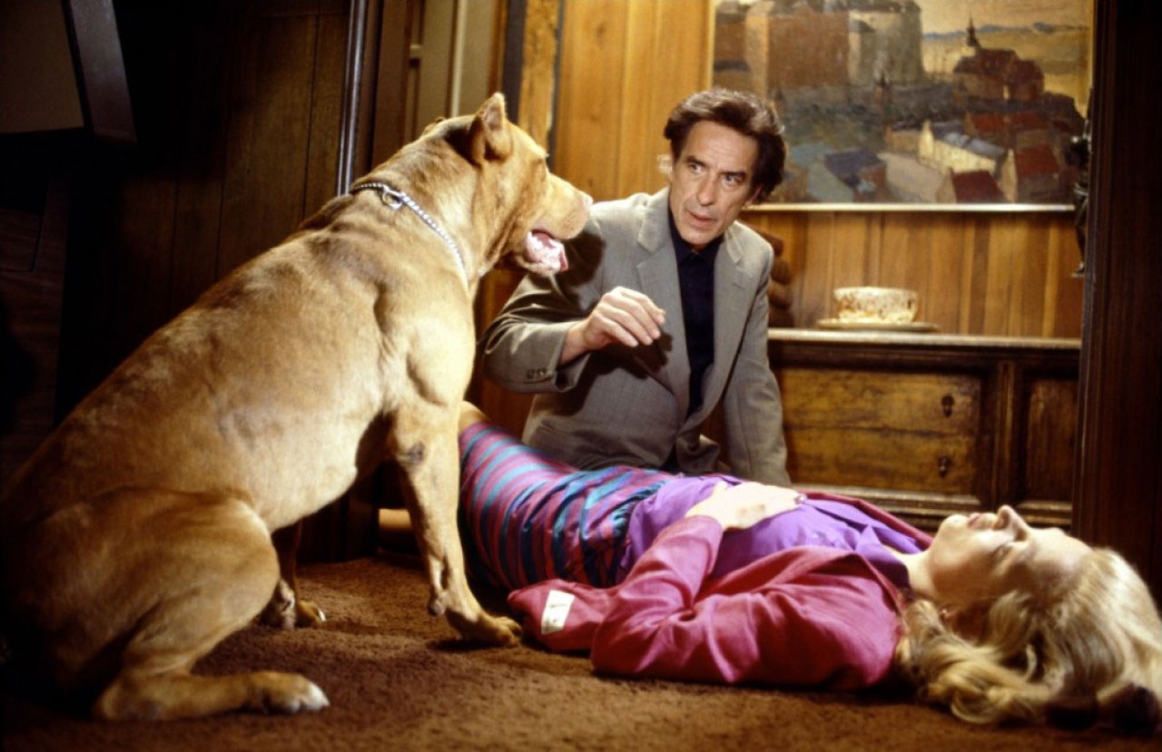 爱的激流剧照的剧照