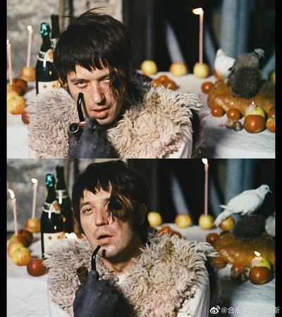 鸟，孤儿和愚人剧照的剧照