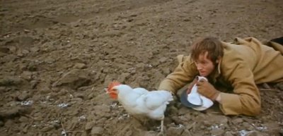 鸟，孤儿和愚人剧照的剧照