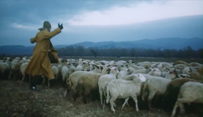 鸟，孤儿和愚人剧照的剧照