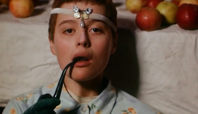 鸟，孤儿和愚人剧照的剧照