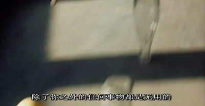 鸟，孤儿和愚人剧照的剧照