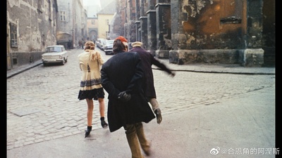 鸟，孤儿和愚人剧照的剧照