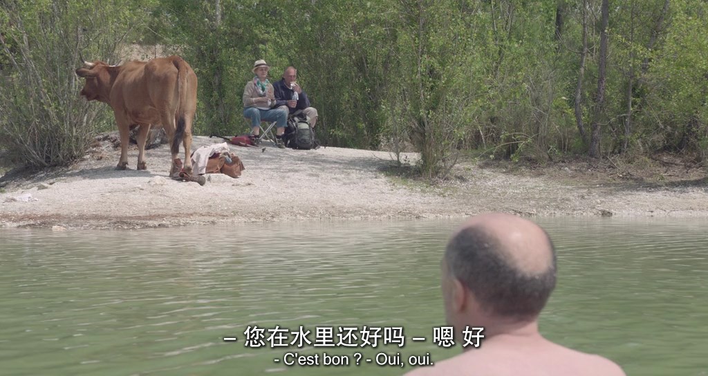 母牛剧照的剧照