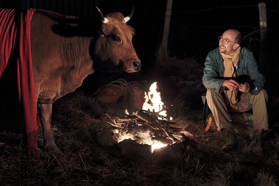 母牛剧照的剧照