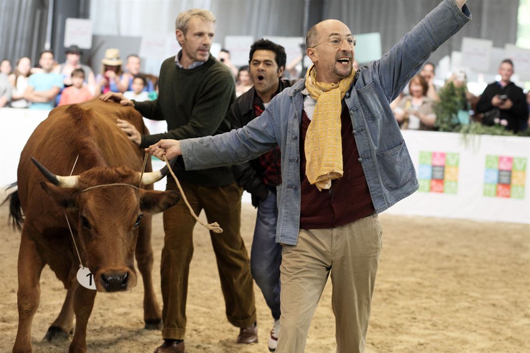 母牛剧照的剧照