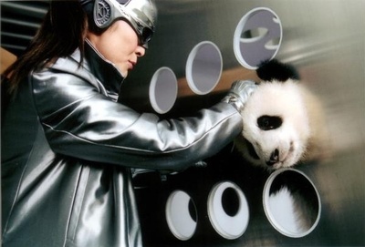 飞鹰剧照的剧照