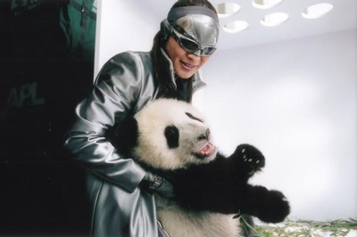 飞鹰剧照的剧照