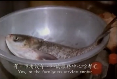 假如我是真的剧照的剧照