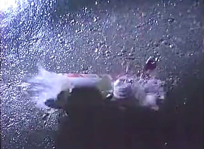 假如我是真的剧照的剧照