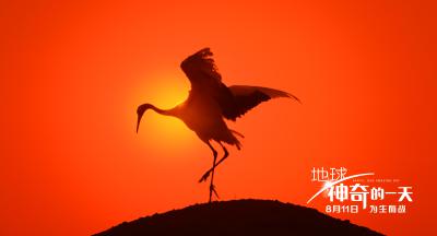 地球：神奇的一天剧照的剧照