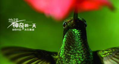 地球：神奇的一天剧照的剧照