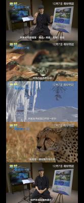 地球：神奇的一天剧照的剧照