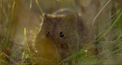 地球：神奇的一天剧照的剧照