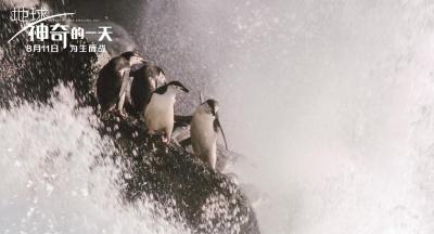 地球：神奇的一天剧照的剧照